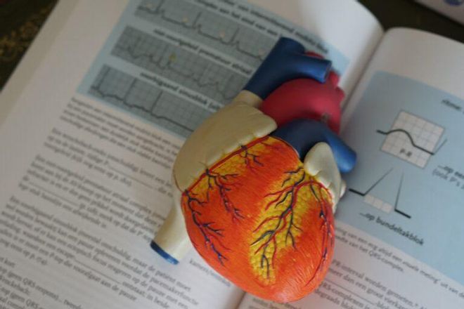 Logran reducir la presión arterial en pacientes con hipertensión a través de ultrasonidos Logran reducir la presión arterial en pacientes con hipertensión a través de ultrasonidos