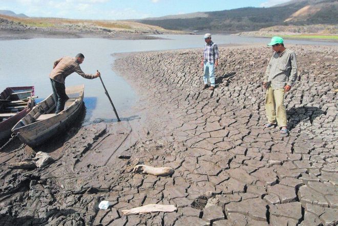El planeta debe restaurar en nueve años un área como China para sobrevivir El planeta debe restaurar en nueve años un área como China para sobrevivir
