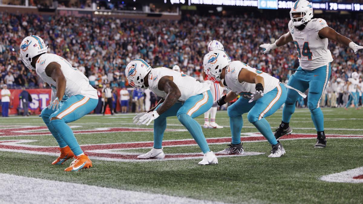 Dolphins  Desenredando el Calendario 2023 - Somos Dolphins