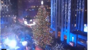 Árbol de navidad de NY Árbol de navidad de NY