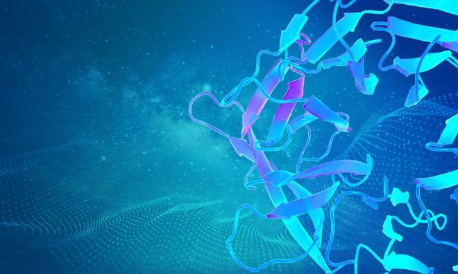 La Inteligencia Artificial de Google predice la estructura de casi todas las proteínas conocidas
