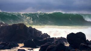 Terremoto de magnitud 7,7 en Australia desencadena un Tsunami en el Pacífico Sur Terremoto de magnitud 7,7 en Australia desencadena un Tsunami en el Pacífico Sur