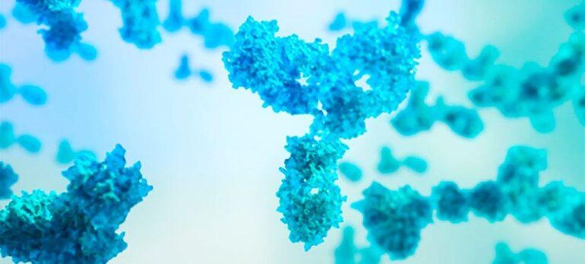 Anticuerpos monoclonales ¿Qué es eso que los antivacunas sí están dispuestos a pincharse? Anticuerpos monoclonales ¿Qué es eso que los antivacunas sí están dispuestos a pincharse?
