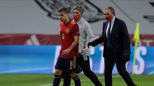 Canales se retira lesionado en el partido ante Alemania Canales se retira lesionado en el partido ante Alemania