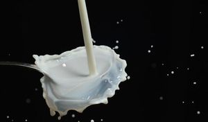 ¿Soy intolerante a la lactosa? ¿Cómo puedo saberlo? ¿Soy intolerante a la lactosa? ¿Cómo puedo saberlo?