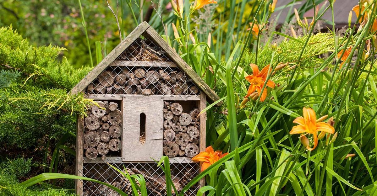 Cómo construir tu propio hotel para insectos Cómo construir tu propio hotel para insectos