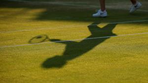 ¿Por qué Alcaraz no ha preparado Wimbledon en hierba?