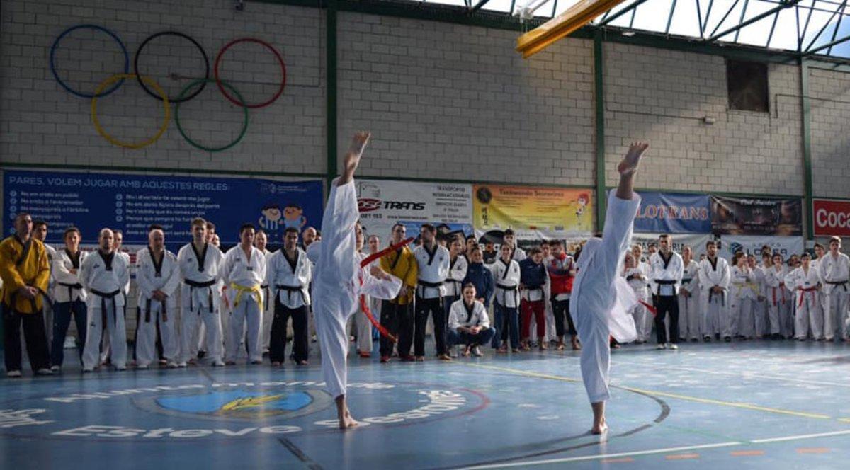 Taekwondo en Sant Esteve Sesrovires