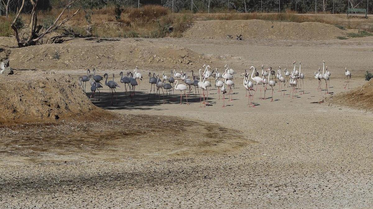 Andalucía necesita cinco veces más lluvia para volver a la normalidad