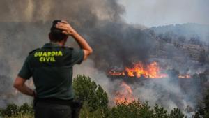 Incendio en Figueruela (Zamora).