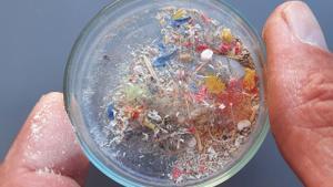 Los microplásticos invaden nuestro cuerpo; muestra recogida en el polvo de una casa