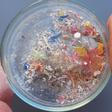 Los microplásticos invaden nuestro cuerpo; muestra recogida en el polvo de una casa