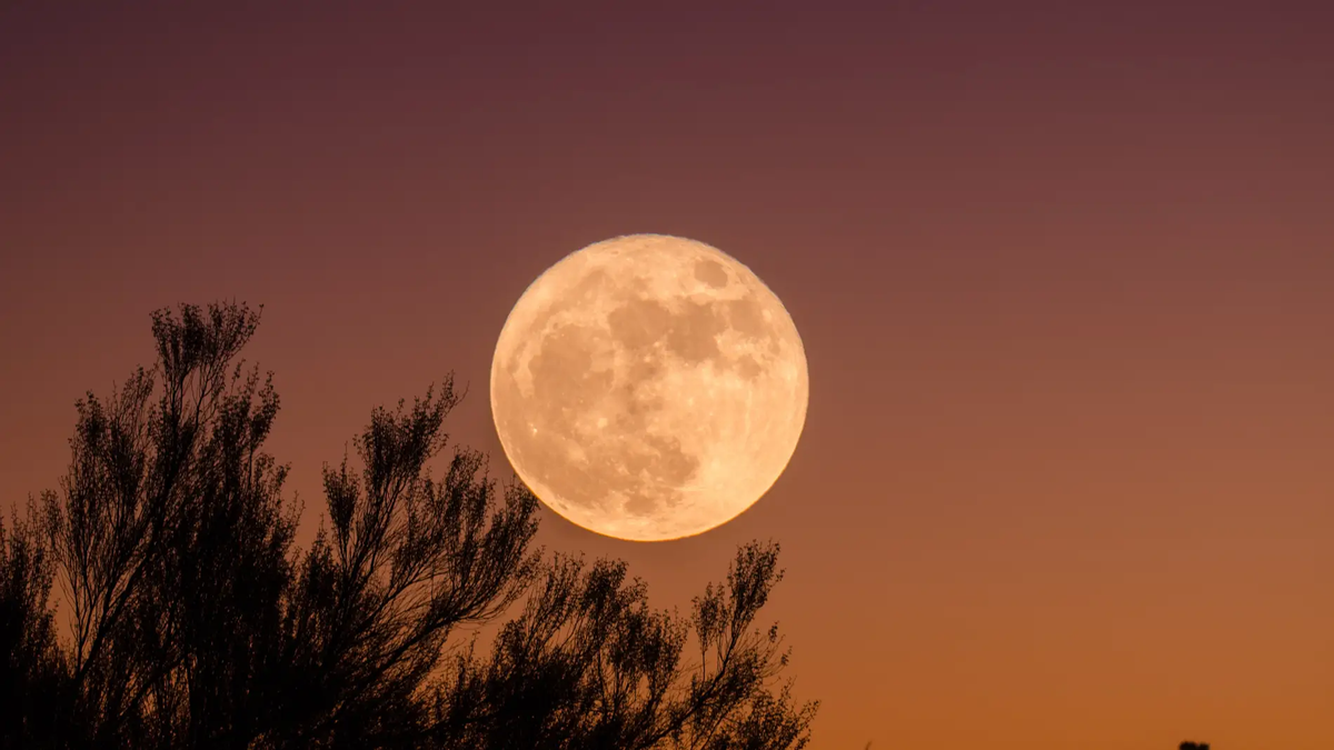Superluna del Esturión: cómo ver la luna llena de agosto desde España