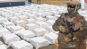 Colombia crea un comando especial para combatir el narcotráfico Colombia crea un comando especial para combatir el narcotráfico