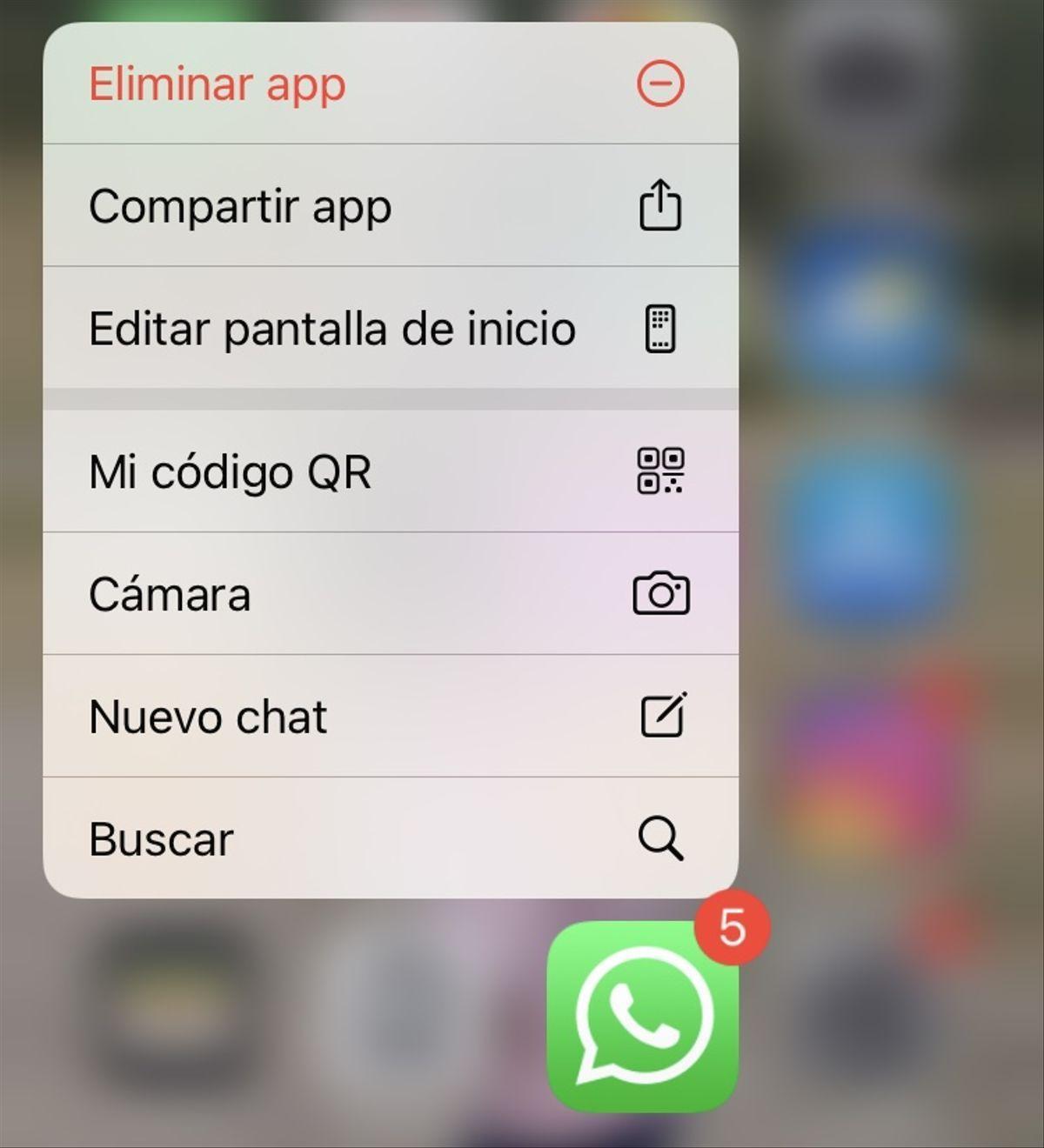 Captura de pantalla de los accesos que ofrece WhatsApp en Iphone.