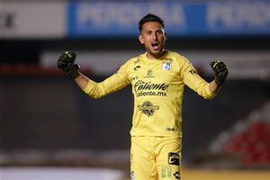 Gallos Blancos ganan de nuevo en casa Gallos Blancos ganan de nuevo en casa