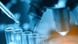 Este antiviral con sello español reduce el 99% de la carga viral del coronavirus Este antiviral con sello español reduce el 99% de la carga viral del coronavirus