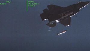 Vídeo capta el momento en el que un F-35 deja caer una bomba termonuclear Vídeo capta el momento en el que un F-35 deja caer una bomba termonuclear