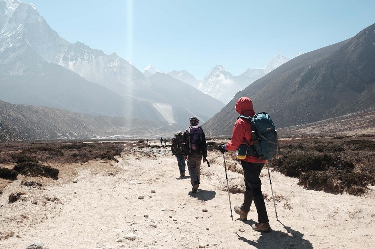 Catarata Arne frase Mejores bastones de trekking: cuáles son y cómo puedes elegirlos