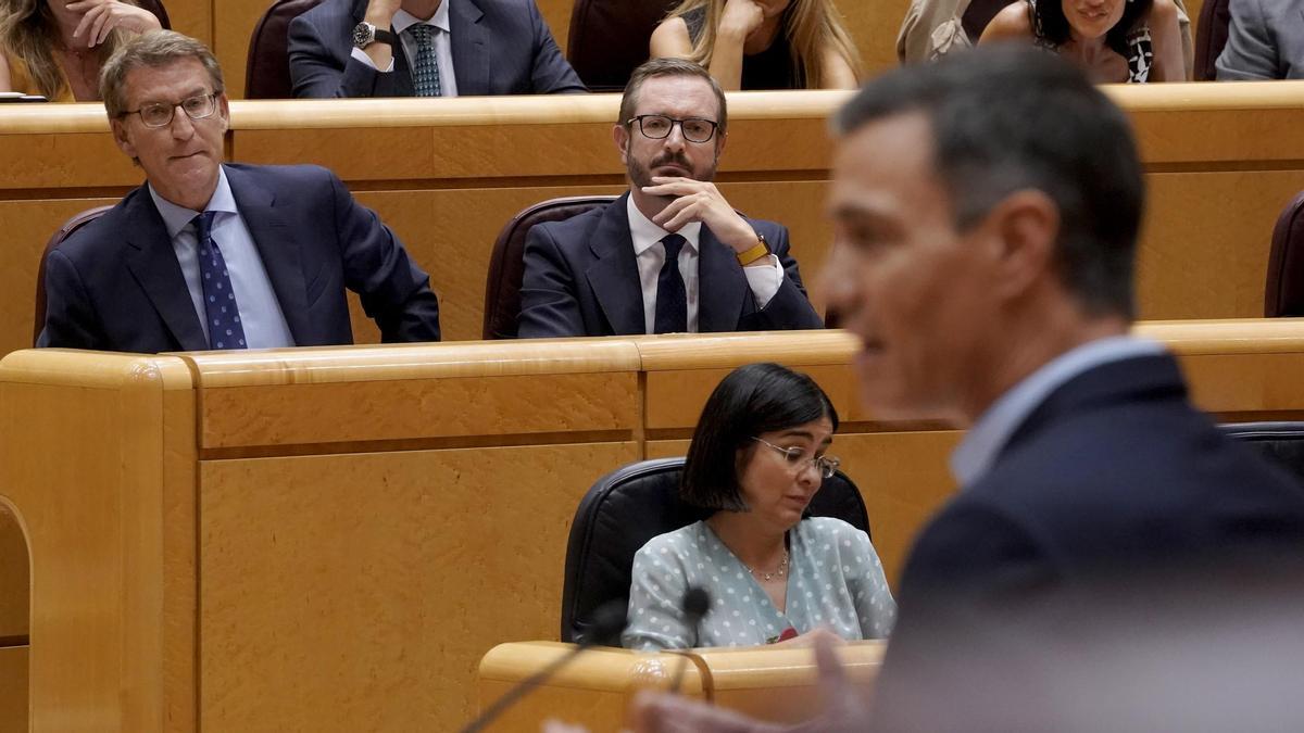 Sánchez y Feijóo protagonizan en el Senado un cara a cara con aroma electoral