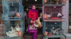 Un mercado de aves en Katmandú, Nepal, el pasado enero. Nepal ha confirmado varios casos de gripe aviar.