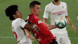 Budimir fue de los futbolistas más destacados del Mallorca en Primera Budimir fue de los futbolistas más destacados del Mallorca en Primera