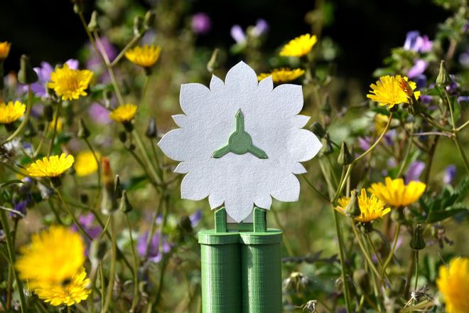 Diseñan una batería con raíz, tallo y hojas para generar energía biodegradable