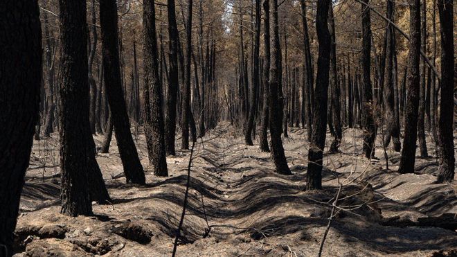 El Gobierno prepara un marco nacional para abordar la extinción de incendios