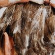 Descubre como hidratar tu pelo seco y dañado
