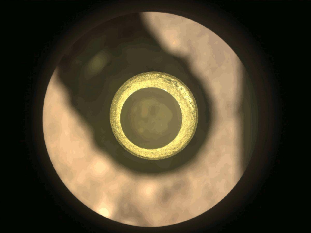La primera muestra de núcleo de roca de Marte (en el centro) dentro de un tubo de recolección de muestras de titanio, en una imagen tomada por la cámara del rover Perseverance de la NASA. La imagen se tomó el 6 de septiembre de 2021, antes de que el sistema colocara y sellara una tapa de metal en el tubo.