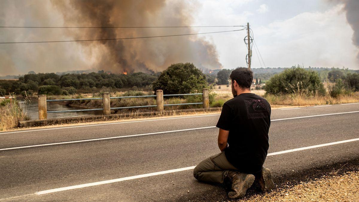 Un joven, arrodillado ante el desolador panorama provocado por el incendio en Sierra de la Culebra, Zamora.
