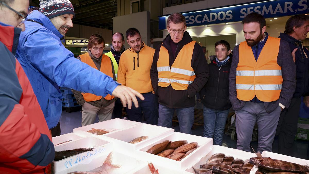 Paquete anticrisis de Feijóo | : Feijóo pide bajar el IVA a la carne y el pescado y retomar el descuento del combustible Paquete anticrisis de Feijóo | : Feijóo pide bajar el IVA a la carne y el pescado y retomar el descuento del combustible
