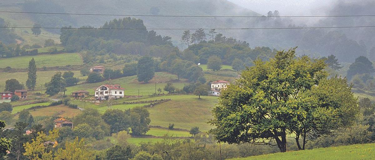 Paisaje rural asturiano.