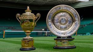 Trofeos para los ganadores de Wimbledon 2022