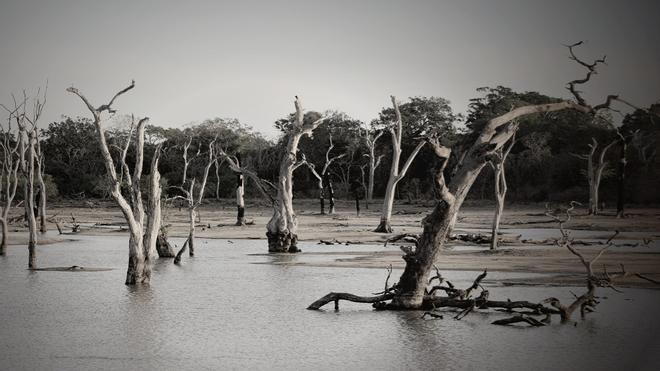 Conspiranoicos afirman que las inundaciones en Australia son hechas a propósito