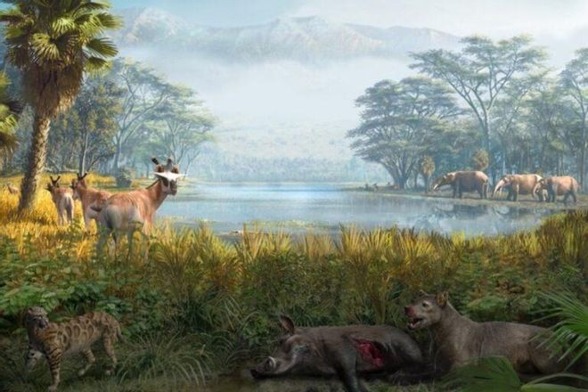 Los ecosistemas sobreviven a las especies que desaparecen Los ecosistemas sobreviven a las especies que desaparecen