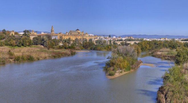 El río Guadalquivir ya tiene más peces exóticos que autóctonos El río Guadalquivir ya tiene más peces exóticos que autóctonos