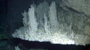 La Ciudad Perdida tiene numerosos respiraderos hidrotermales de carbonato, incluida esta brida de color blanco tiza.