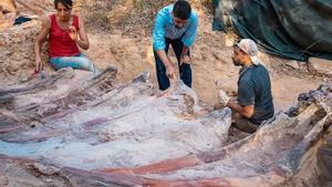 El esqueleto de dinosaurio descubierto en Portugal y el equipo de paleontología