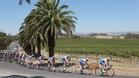 Tour de Francia: Cavendish o fuga