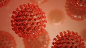 Las 8 verdades (con datos) de la vacuna de AstraZeneca y sus riesgos Las 8 verdades (con datos) de la vacuna de AstraZeneca y sus riesgos