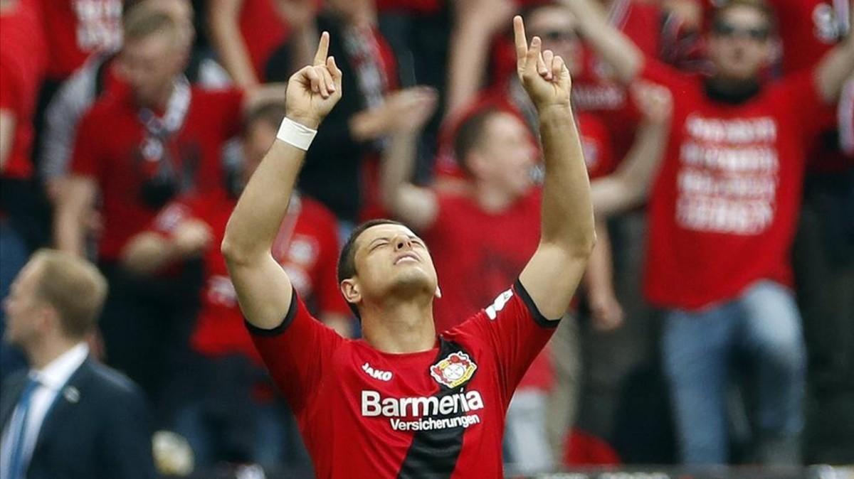 Chicharito, delantero del Leverkusen, gusta en Sevilla