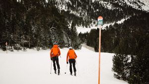 Esquí de montaña, raquetas y esquí de fondo según datos de Strava, triunfaron en Navidad Esquí de montaña, raquetas y esquí de fondo según datos de Strava, triunfaron en Navidad