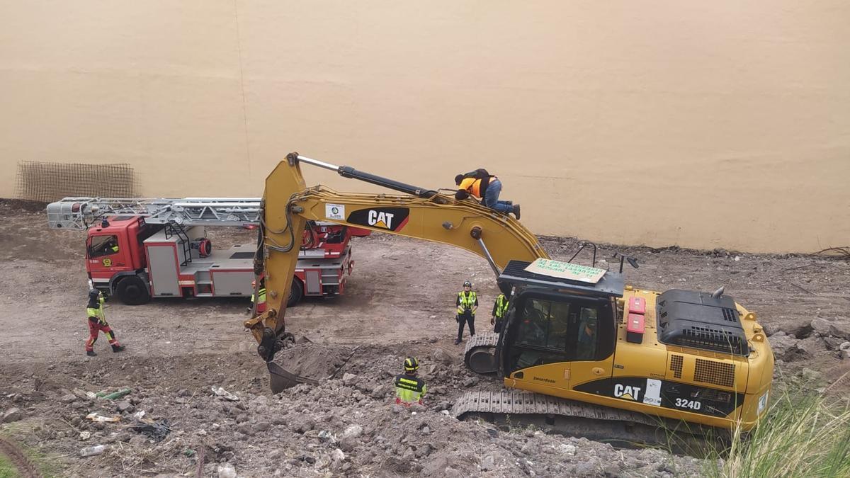 The policia detiene al ecologista que paralizó una obra en Gran Canaria para salvar has a grupo de lagartos gigantes