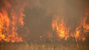 Ascienden a 25.000 las hectáreas quemadas en el incendio de la sierra de la Culebra