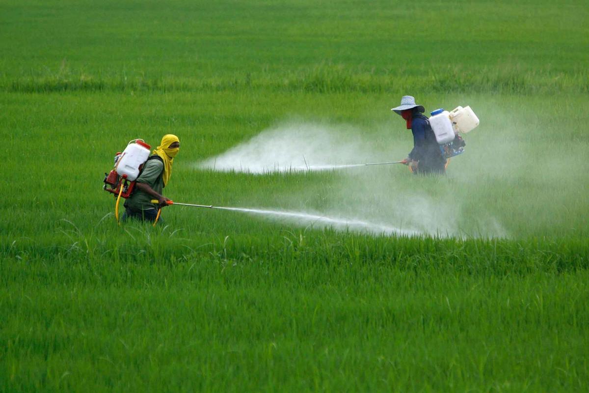 Bruselas propone reducir un 50% el uso de pesticidas para 2030
