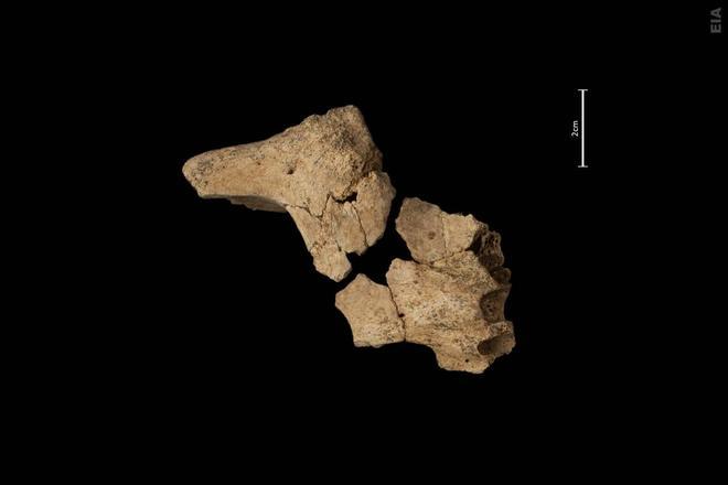 Descubren en Atapuerca la cara del hombre más antiguo de Europa