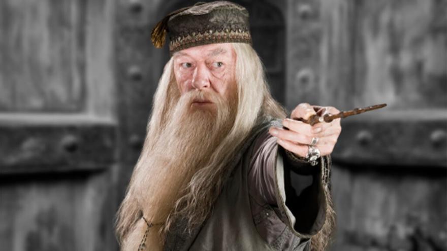 Los actores de Harry Potter que han fallecido desde el comienzo de la saga