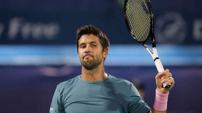 Fernando Verdasco: rendido ante un animal con hambre