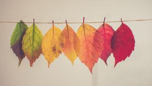 ¿Cómo afecta la llegada del otoño a nuestro estado emocional?